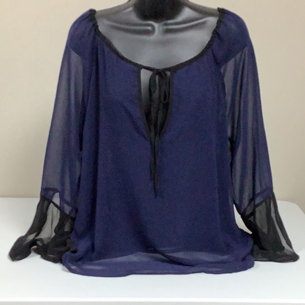 PJK Patterson J Kincaid Chiffon Blouse
